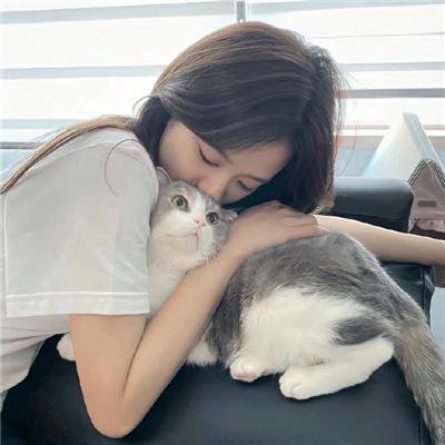 猫儿协奏曲 封面